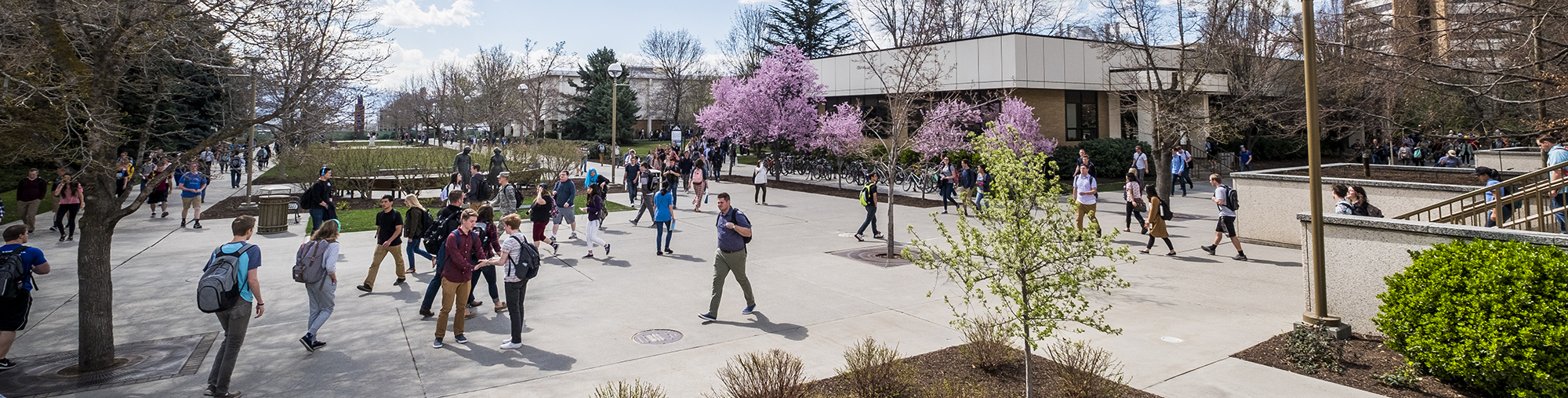 students walking across campus in Spring