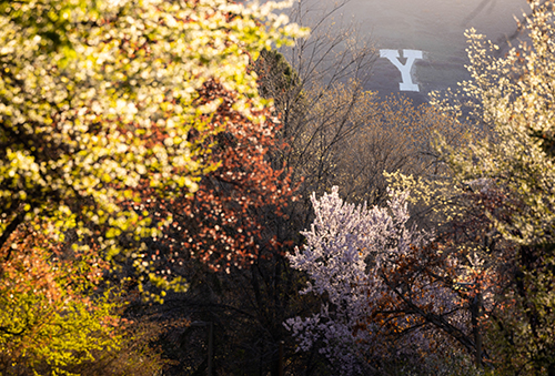 Y Mountain in Autumn